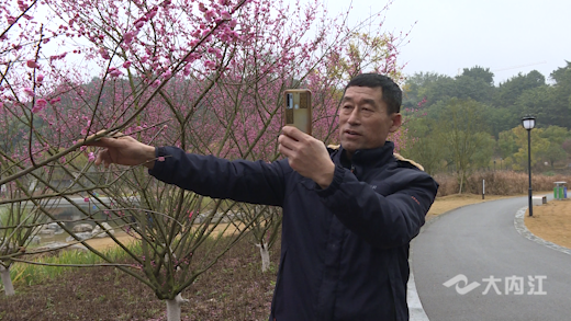 282035_1643954286893607.png 13.png