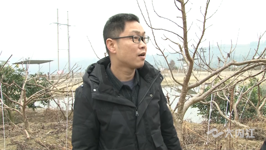 282035_1643954298552766.png 14.png