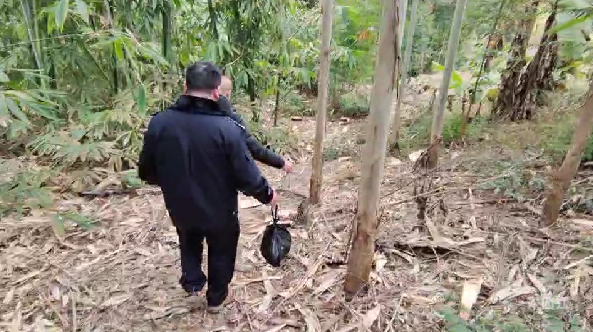 286144_1645850436481537.png 微信截图_20220226123529.png