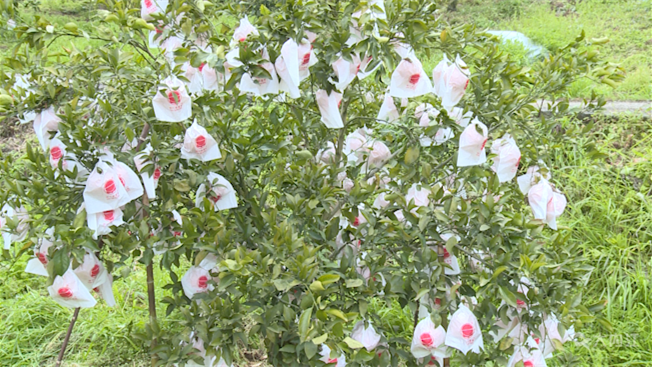 269955_1646106155138545.png 微信图片_20220301113954.png