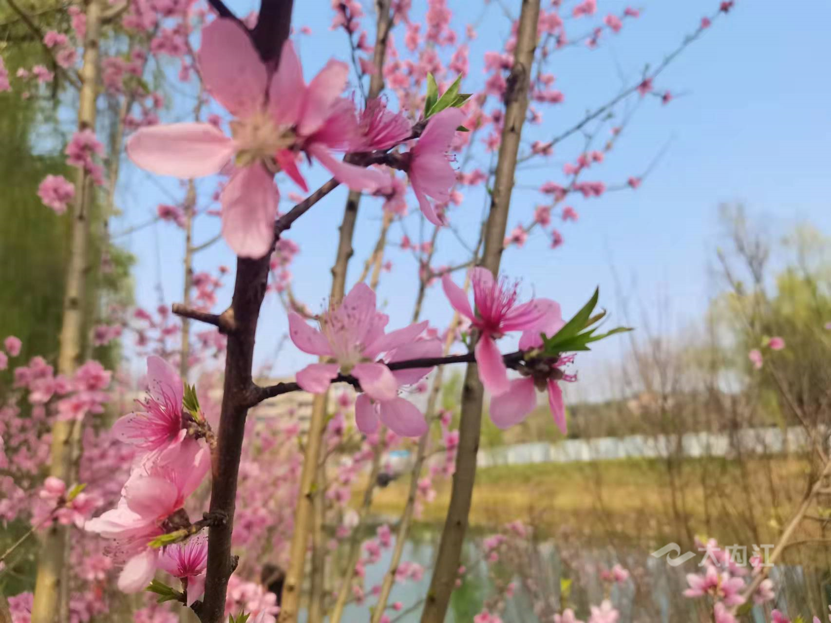 282126_1646895151993920.jpg 微信图片_20220310143956.jpg