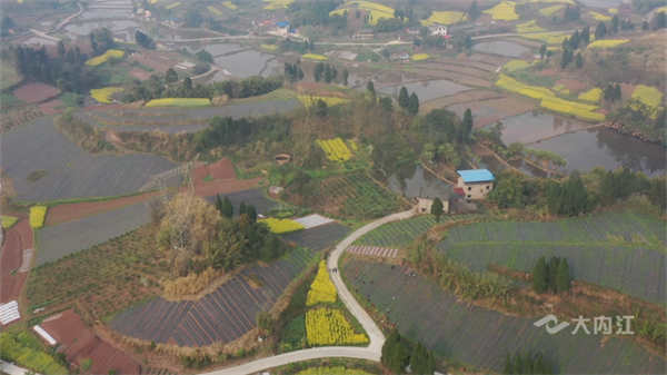 青台村2.png
