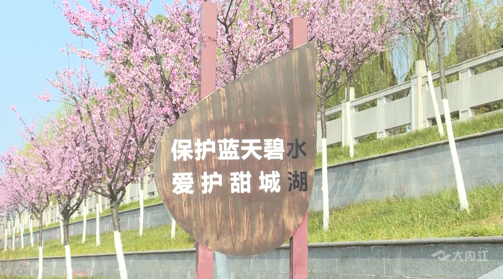 44.png