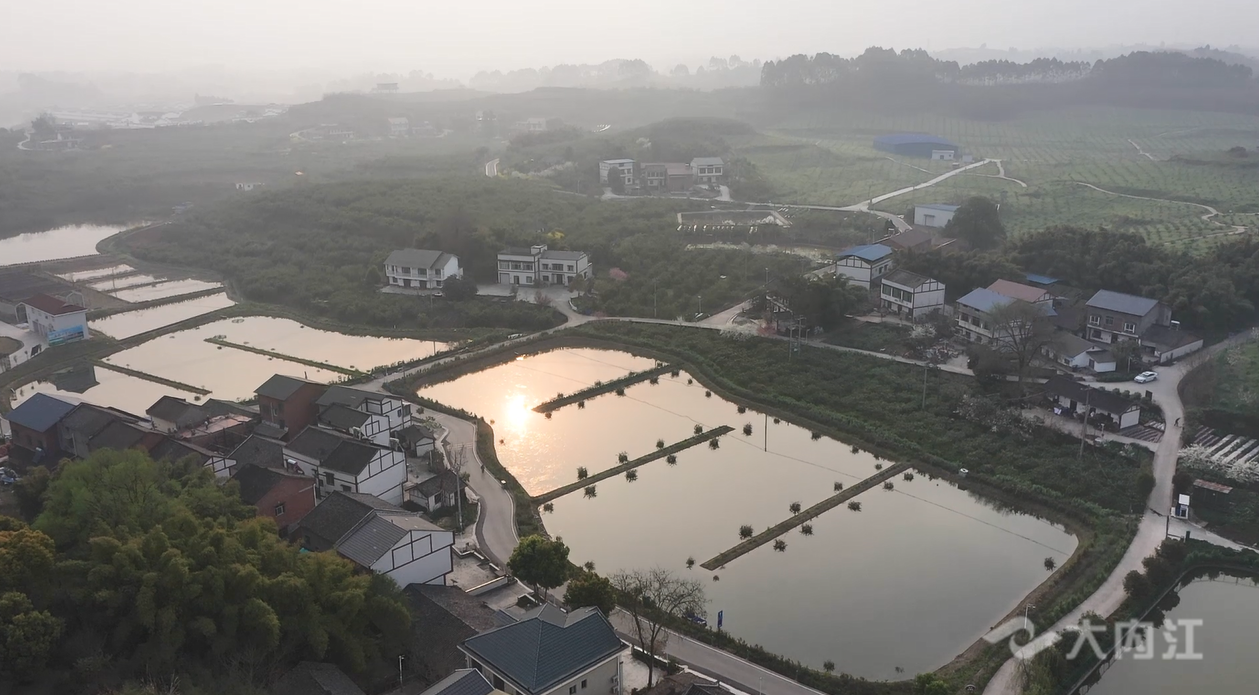 微信图片_20220315162952.png