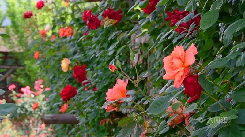 282126_1650420520739871.png 微信图片_20220420100243.png