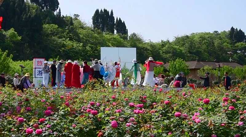 282126_1650420543451451.png 微信图片_20220420100330.png