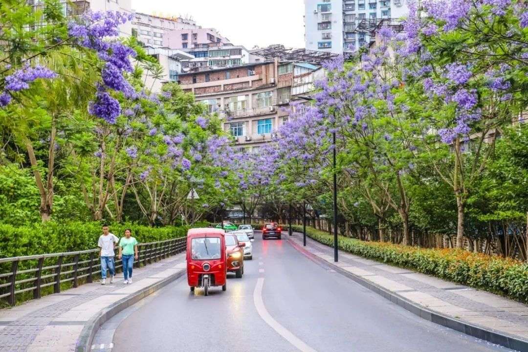微信图片_20200518154210.jpg 图片
