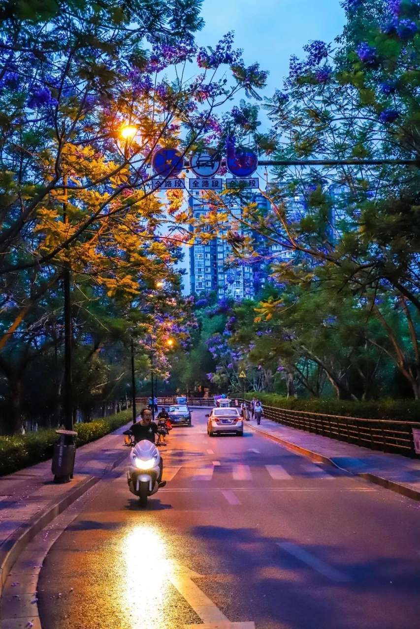 微信图片_20200518154150.jpg 图片
