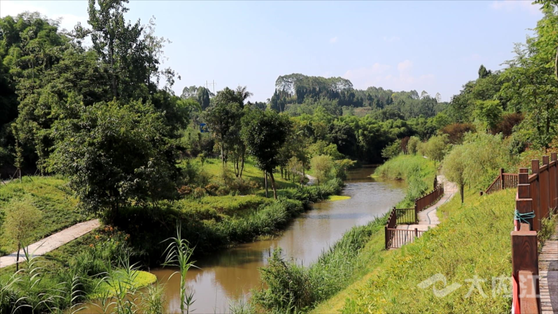 320608_1657338744647811.jpg MVI_0016.MP4_20220709_114632429.jpg