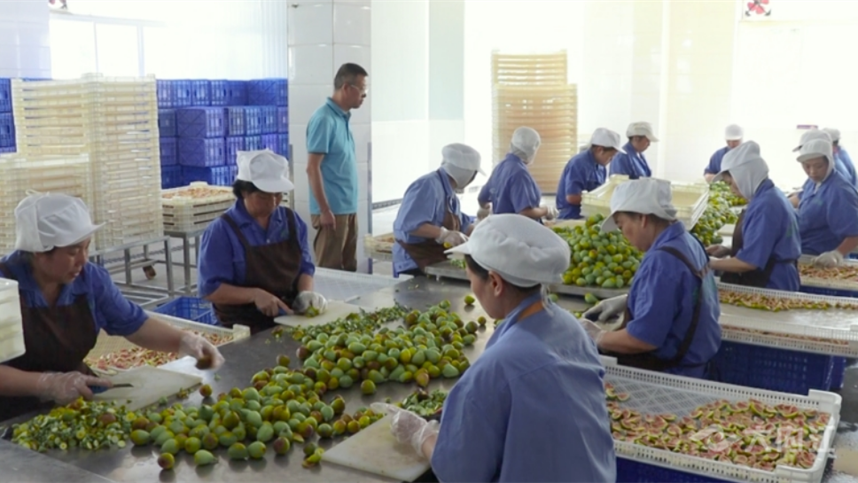 323896_1658214412819924.png 微信图片_20220719150120.png