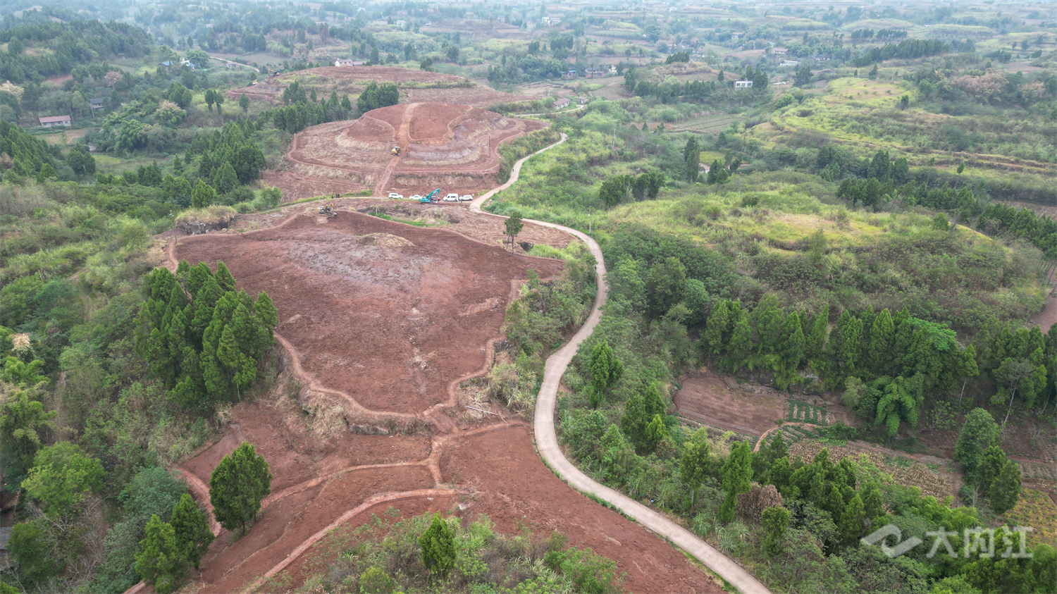资中龙江高标准农田 (1).jpg